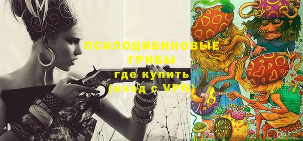 МДПВ Богданович