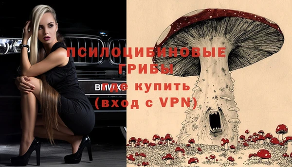МДПВ Богданович