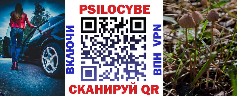 Купить где  Неман  Псилоцибиновые грибы Magic Shrooms 